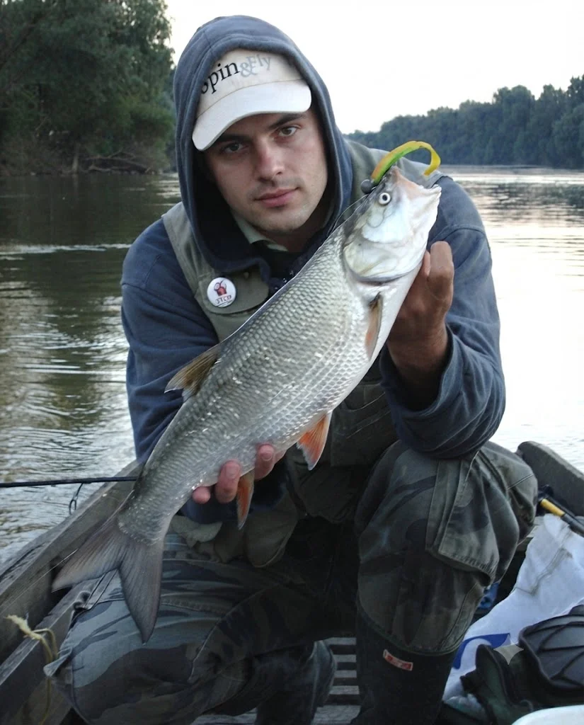 ORKA soft lures for Bolen (Leuciscus aspius)