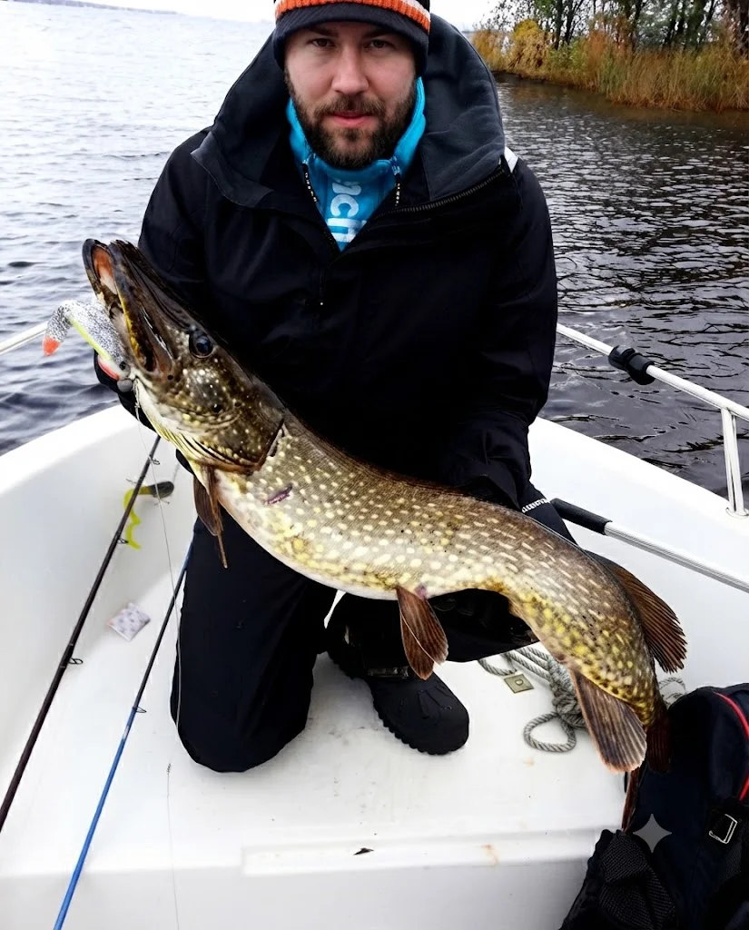 ORKA soft lures for Štika (Esox lucius)